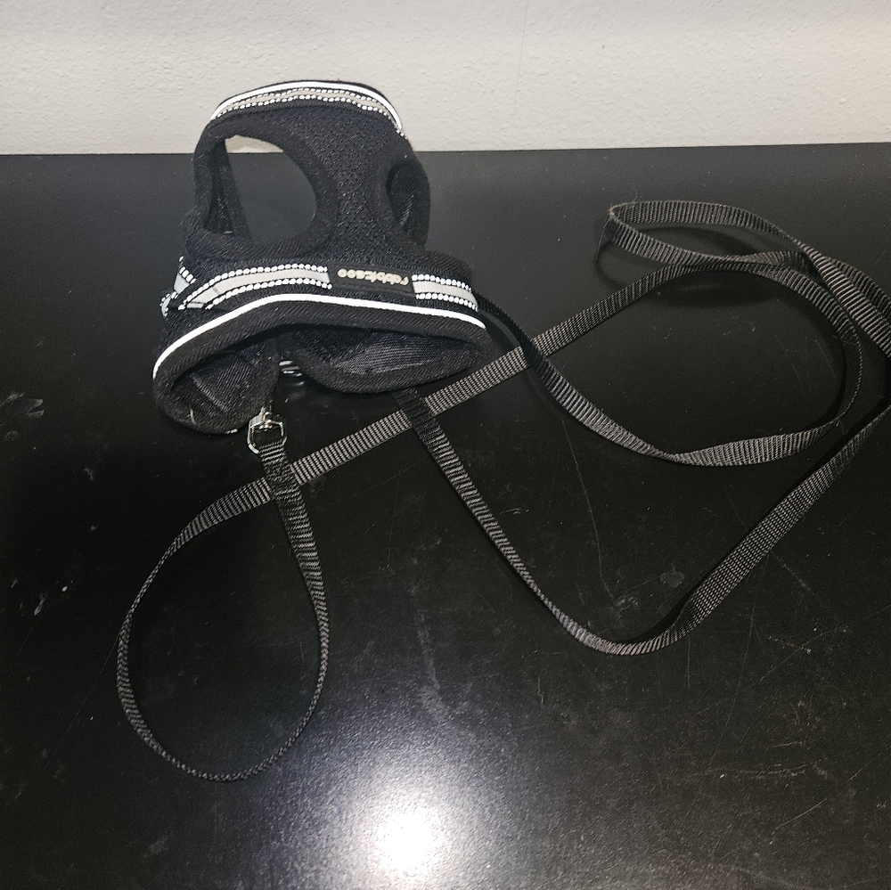 Black Cat Harness with Leash